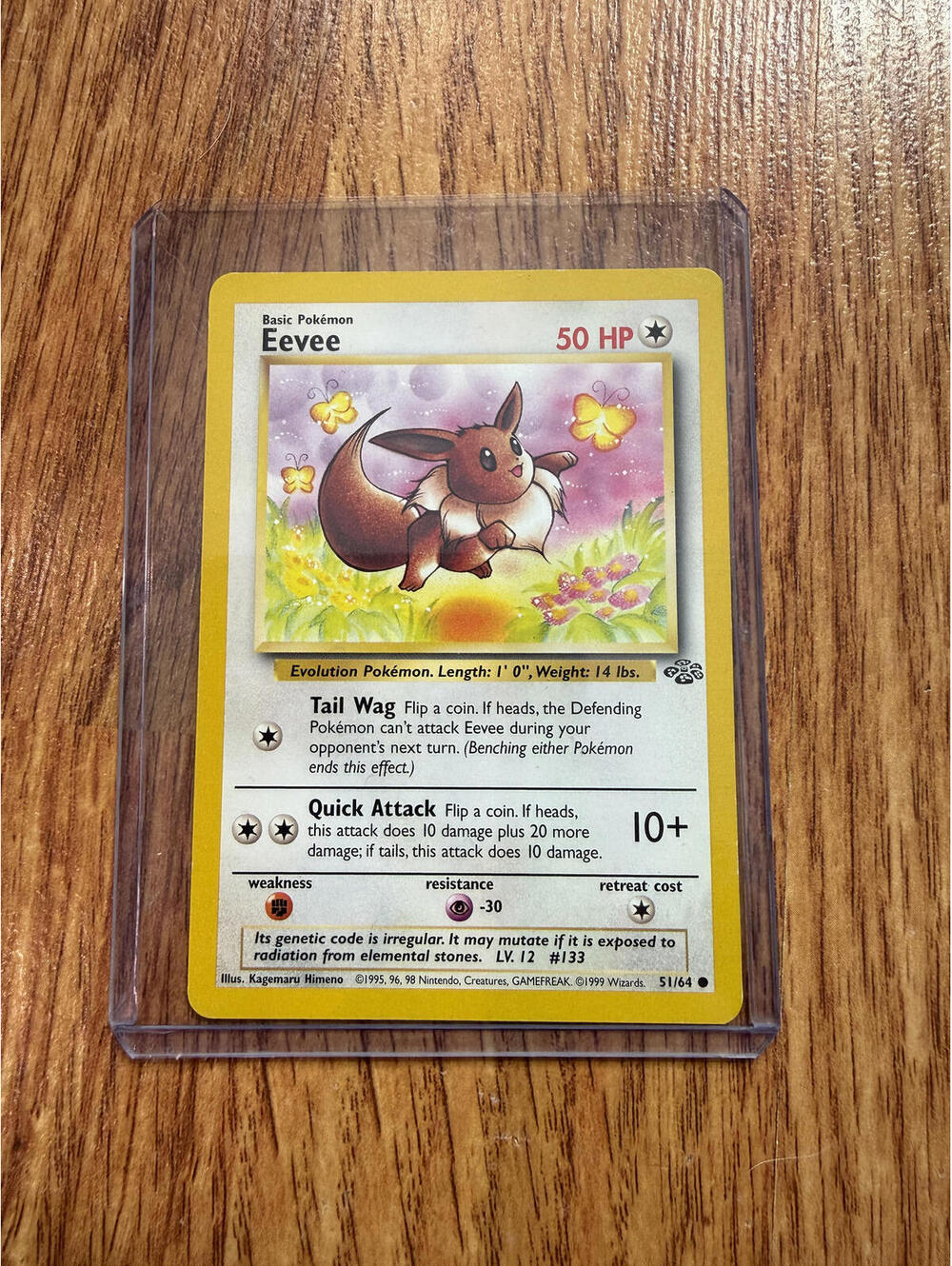Pokemon  - Single Trading Card - Eevee 51/64 - Normal